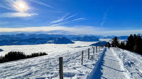 Winterwandern Auf Der Rigi Von Scheidgg Nach Kaltbad Staffel