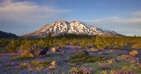 Secrets Of Washington S Mount Saint Helens TouristSecrets