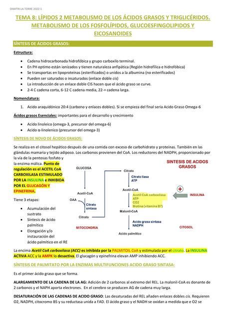 Lípidos 2 Metabolismo de los Ácidos Grasos y Triglicéridos Dimitri La