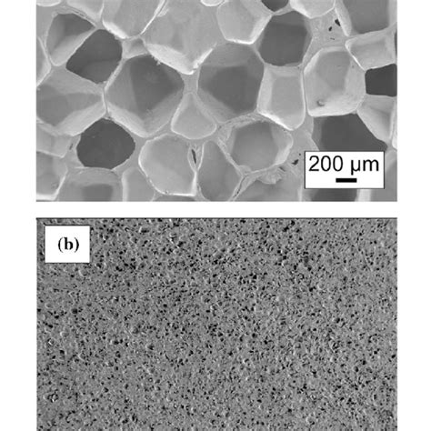 Comparison Between The Microstructure Of A Foam A And B Foam B Images