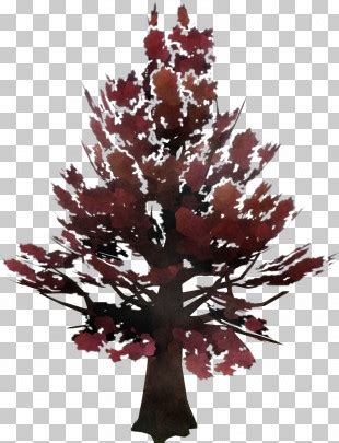 Tree Maple Red Png Clipart Christmas Tree Creative Creativity Data