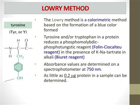 Ppt Protein Analysis Powerpoint Presentation Id2060791