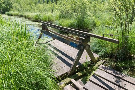 Adventures In The Bog Wooden Raft Across The Swamp Landscape