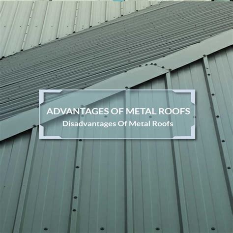 Metal Roof And Leaf System Ses