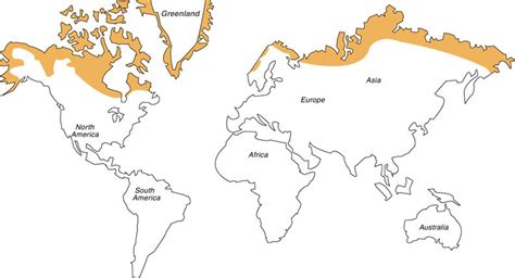 Bioma Tundra Localização Mapa Características Fauna E Vegetação