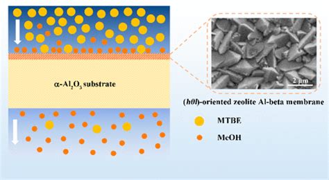 Reliable Fabrication Of Thin And H L Oriented Zeolite Al Beta