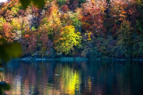 Fall Foliage Photography Tips - Ehab Photography