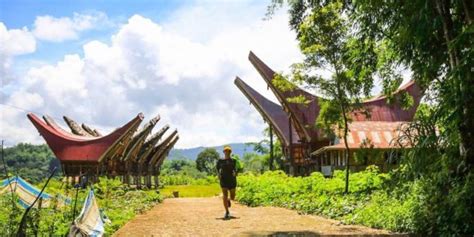 Toraja Marathon Kemilau Tanah Penuh Budaya Dan Sejarah Jom Kita Lari