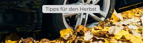 Sicher Durch Den Herbst