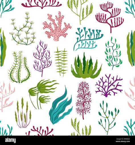 Underwater Seaweed Plants Aquarium Algae Seamless Pattern Corals And