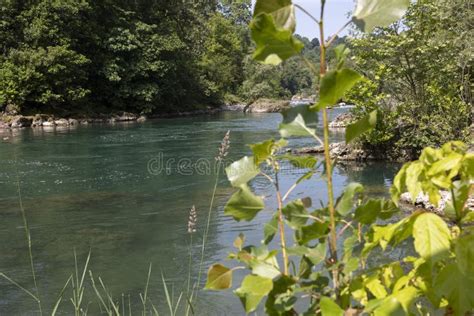 natural setting   banks stock image image  sunny landscape