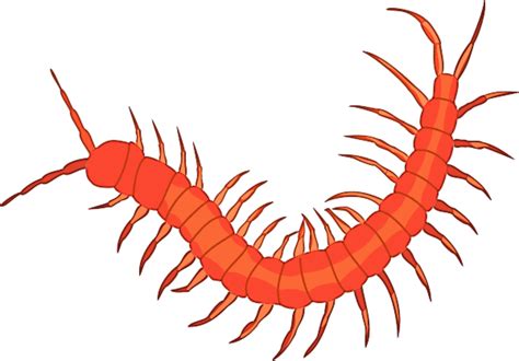 Centipede Clipart And Centipede Clip Art Images Hdclipartall