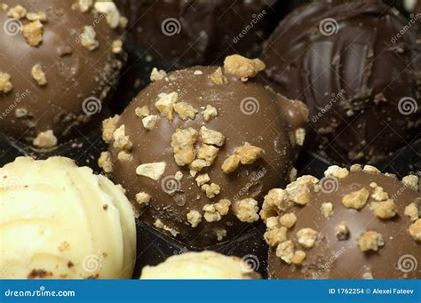 Truffle with nuts stock photo. Image of dessert, delicious - 1762254