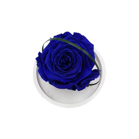 Ars Nova Rosa Incantata Blu Senza Stelo Idea Fiori