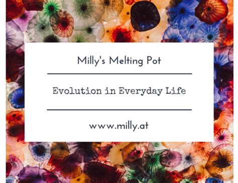 Traditional European Medicine Ayurveda Of The Alps Milly S Melting Pot