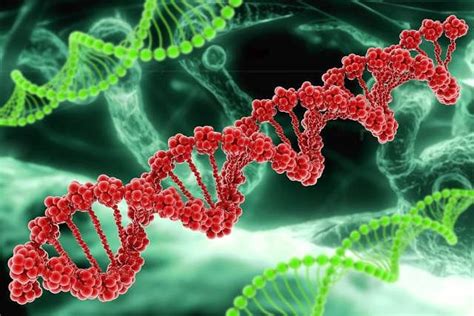 Fenyloketonuria Uwarunkowana Genetycznie Choroba Metaboliczna