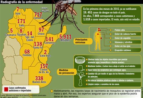 Ya Son Casi 20 Mil Los Casos De Dengue Y Piden Declarar La Emergencia