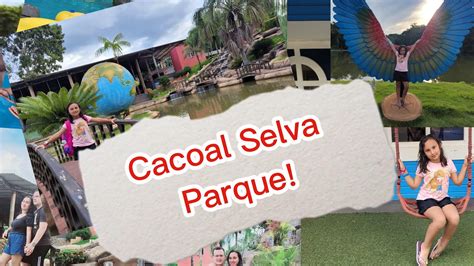 Rondônia Cacoal Selva Parque Cacoal 2 de 3 YouTube