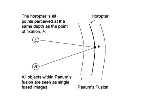 The Geometry Of The Binocular Vision When Viewing The Natural World Download Scientific Diagram