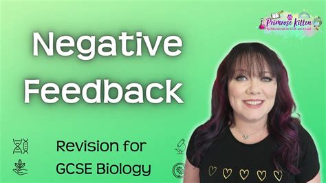 Negative Feedback Adrenaline And Thyroxine Revision For Biology