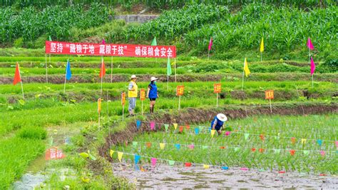 【川投电力】川投能源、天全县首届“企地共建杯”农业劳动技能大赛圆满落幕 企业动态 四川川投能源股份有限公司