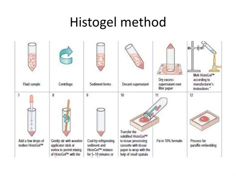 Cell Block And Its Diagnostic Utility Ppt