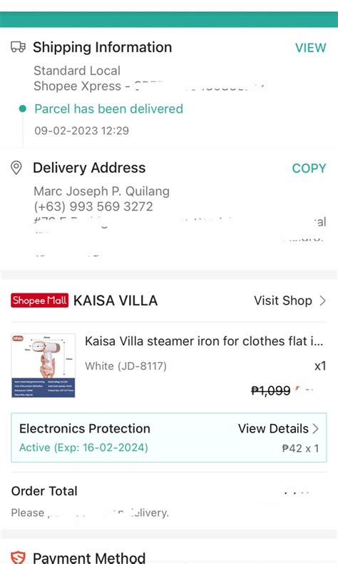 Kaisa Villa Steamer Iron For Clothes Flat Iron Steam Mini Iron Steamer