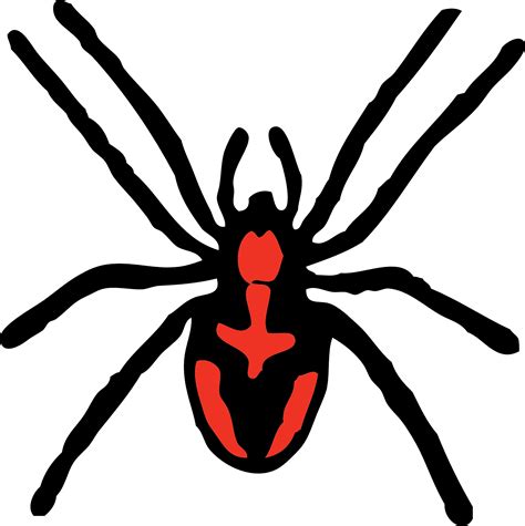 Black widow spider clipart free image download