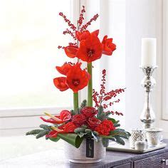 Deko Mit Amaryllis Ideen Amaryllis Deko Weihnachten