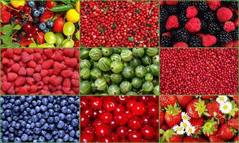 Jigsaw Puzzle Berries Solve Jigsaw Puzzles Online Puzzleit