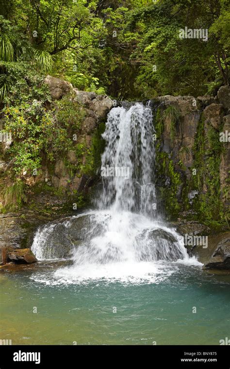 Waiau Waterfall 309 Road Coromandel Peninsula North Island New