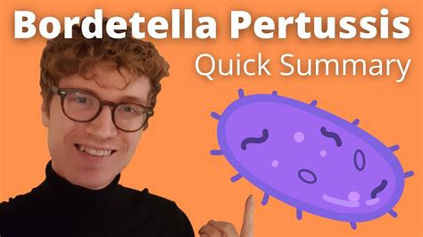 Bordetella Pertussis Quickly Explained Youtube