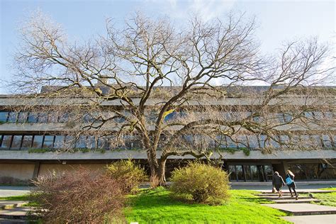 Morreu O Grande Ulmeiro Jardim Gulbenkian