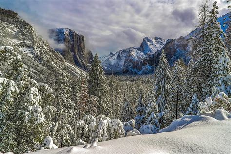 Invierno Bosque Nieve Monta As Comi Valle California California