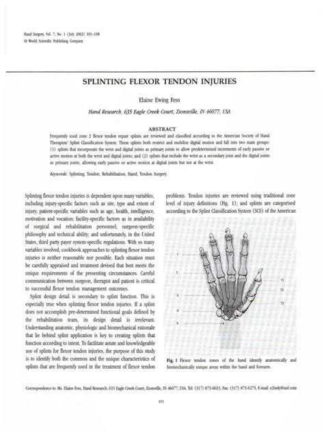 PDF Splinting Flexor Tendon Injuries