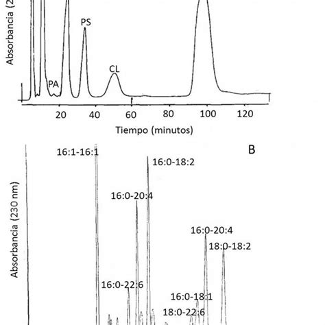 8 Análisis de lípidos por espectrometría de masa Las muestras