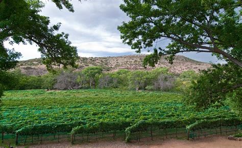 A Guide To Visiting The Verde Valley Wine Trail