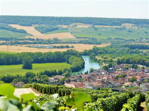 Montagne De Reims Vallée De La Marne Hautvillers Fédération Des