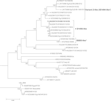 Phylogenetic Tree Of The First 1614 Nucleotides 5′3′ Direction Of Download Scientific