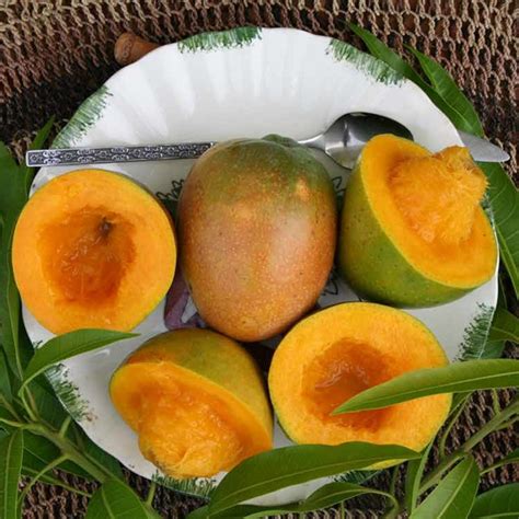 Pdf Achieving Sustainable Cultivation Of Mangoes E Chapter From This Book The Genetic