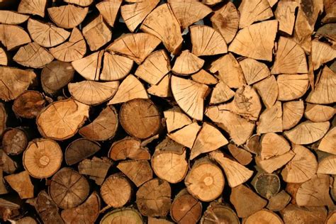 16 Best Firewood To Burn Charts 2023