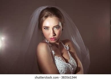 Attractive Sexy Bride Lingerie Veil Stock Photo 383561344 Shutterstock