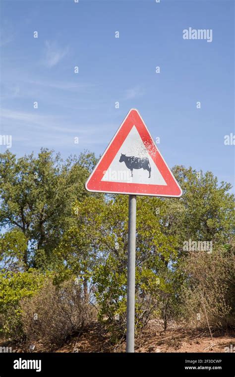 Cattle Crossing Sign High Resolution Stock Photography And Images Alamy