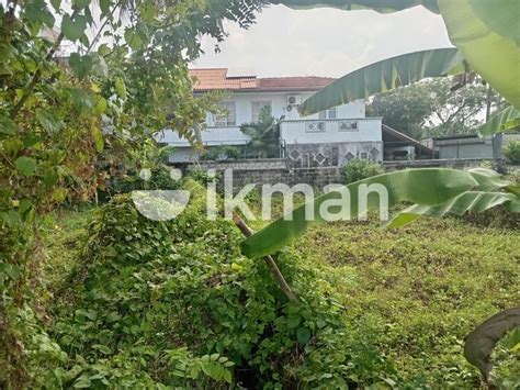 Super Land For Sale Mount Lavinia Ikman