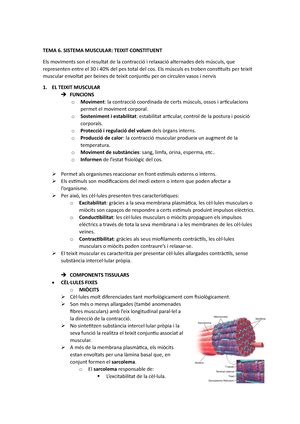 Anatomia TEMA 5 ossos TEMA 5 SISTEMA ESQUELÈTIC ELS OSSOS DEL COS