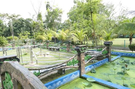 Taman Hutan Raya Tahura Biro Perencanaan Keuangan Dan Tata Laksana