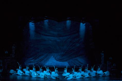 Il Lago Dei Cigni Tchaikovsky Bologna