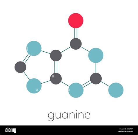 Guanin G Purin Nukleobase Molekül Basis in DNA und RNA vorhanden