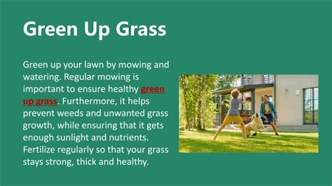 Ppt How To Make Your Grass Green Fast With Some Simple Tips Powerpoint Presentation Id 11835329