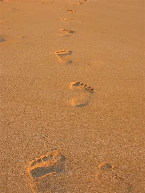 Footprints In The Sand Drawing At Explore